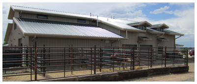 Pre-engineered and prefabricated steel buildings.